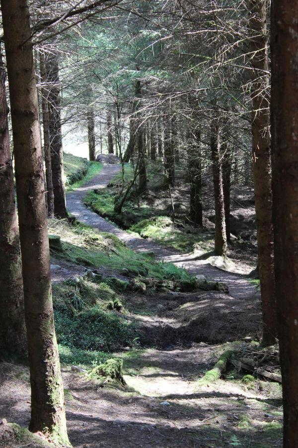 Couette-café Lothlorien Fort William